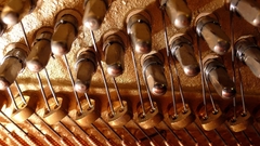 Music Music and Dance