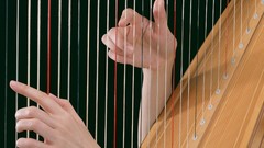 Music notes Musical Performance Music Systems Music Art