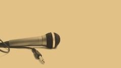 Music rap microphones