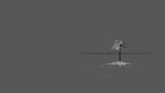 Music Trees autumn season