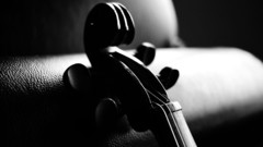 Music violins monochrome