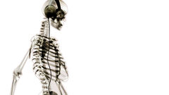 Music white headphones skeleton