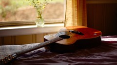 Music window beds Musical Instruments curtains guitars sunlight 