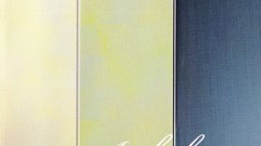 Musicians album covers cover art Ambulance LTD