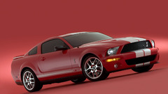 Mustang gt-500 Car