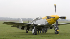 Mustang high Resolution