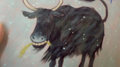 My connection is too