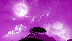 My dreams fantasy lonely