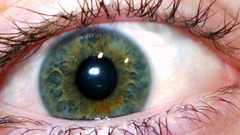 My eyeare You looking