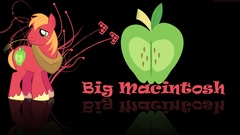 My little pony big macintosh
