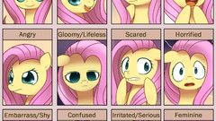 My Little Pony: Friendship is Magic Fluttershy