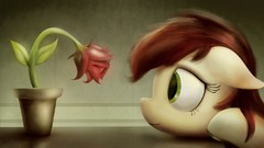 My Little Pony: Friendship is Magic Roseluck