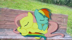 My little pony My Little Pony: Friendship is Magic Fluttershy