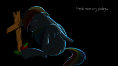 My little pony rainbow