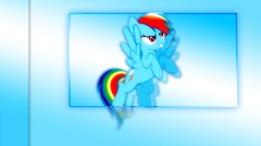 My little pony rainbow dash