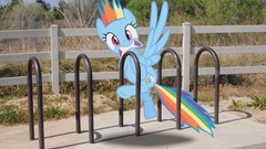 My little pony rainbow dash