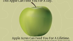 My little pony rarity