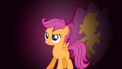 My little pony Scootaloo