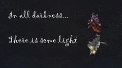 My mage and pallallalladin