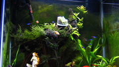 My tank high military