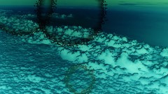 Myoddwall just created The