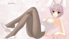 Nagato yuki bunny girls