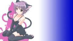 Nagato yuki nekomimi the