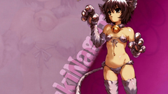 Nagato yuki nekomimi the