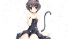 Nagato yuki nekomimi the