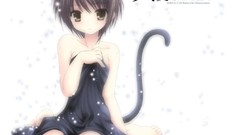 Nagato yuki nekomimi the