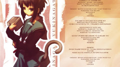 Nagato yuki nekomimi The