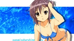 Nagato yuki the melancholy of haruhi suzumiya bikini