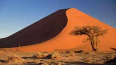 Namibia acacia deserts sand dunes