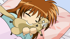 Nanoha konachan com ferret
