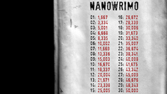 Nanowrimo