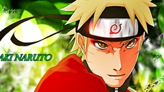 Naruto shippuden Anime Sage