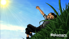 Naruto shippuden Shikamaru Nara