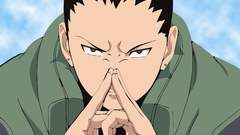 Naruto shippuden Shikamaru Nara