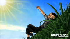 Naruto shippuden shikamaru nara