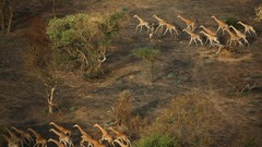 National geographic aerial photography