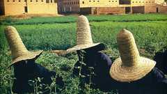 National geographic high