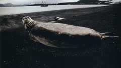 National geographic high