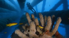 National geographic underwater