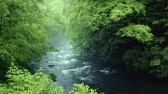 National park Tennessee rivers great smoky mountains