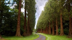 Natural complex magazine