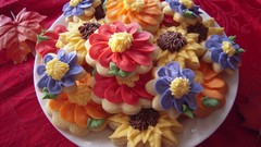 Natural complex magazine