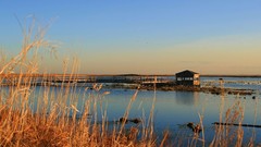 Natural complex magazine