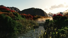 Natural complex magazine