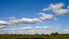 Natural complex magazine