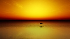 Natural complex magazine